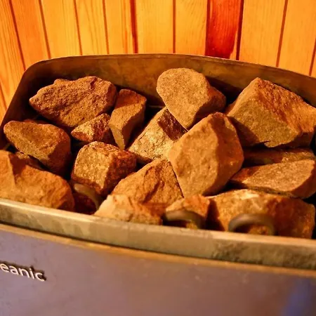 Ecrin Balneo Sauna A Thollon-les-Memises