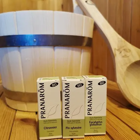 Διαμέρισμα Ecrin Balneo Sauna A Thollon-les-Memises